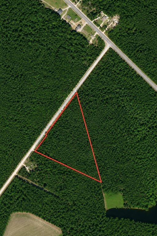 TBD Wolf Pit Bay Rd., Nichols, SC 29581 — exterior