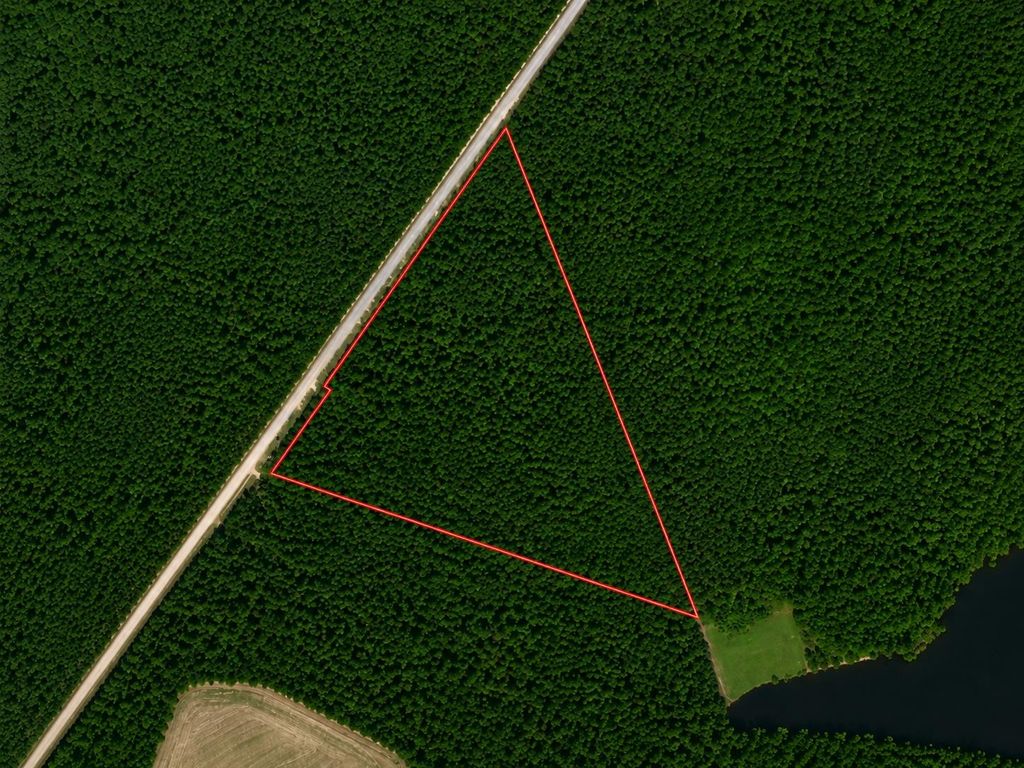 TBD Wolf Pit Bay Rd., Nichols, SC 29581 — photo 2