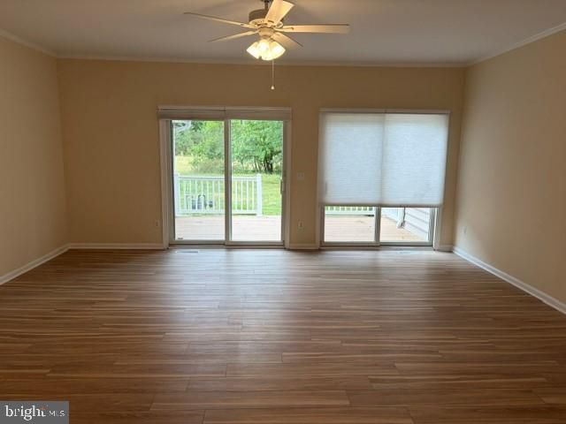 7424 TOUR DR, Easton, MD 21601