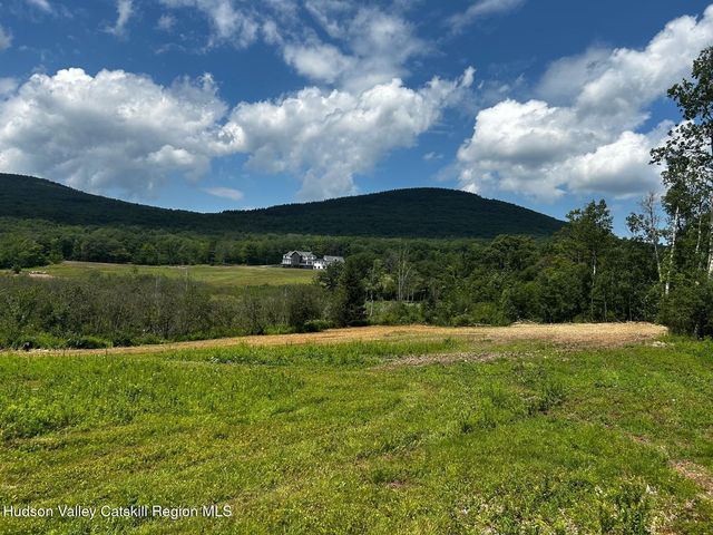 0 Mitchell Hollow Road, Windham, NY 12496