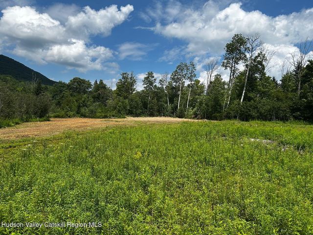 0 Mitchell Hollow Road, Windham, NY 12496