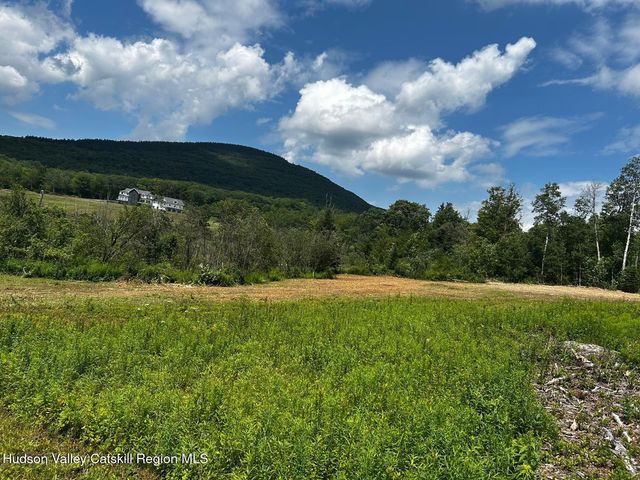 0 Mitchell Hollow Road, Windham, NY 12496