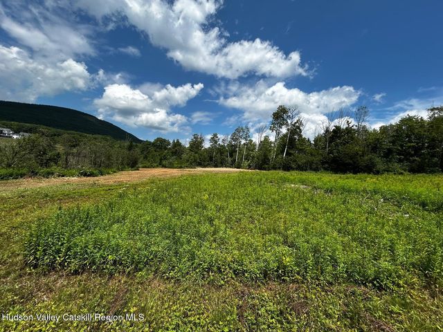 0 Mitchell Hollow Road, Windham, NY 12496