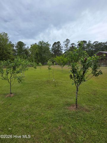 100 Fox Run Drive, Hampstead, NC 28443