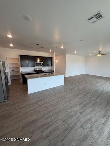 6161 Petty Lane Street, Las Cruces, NM 88012