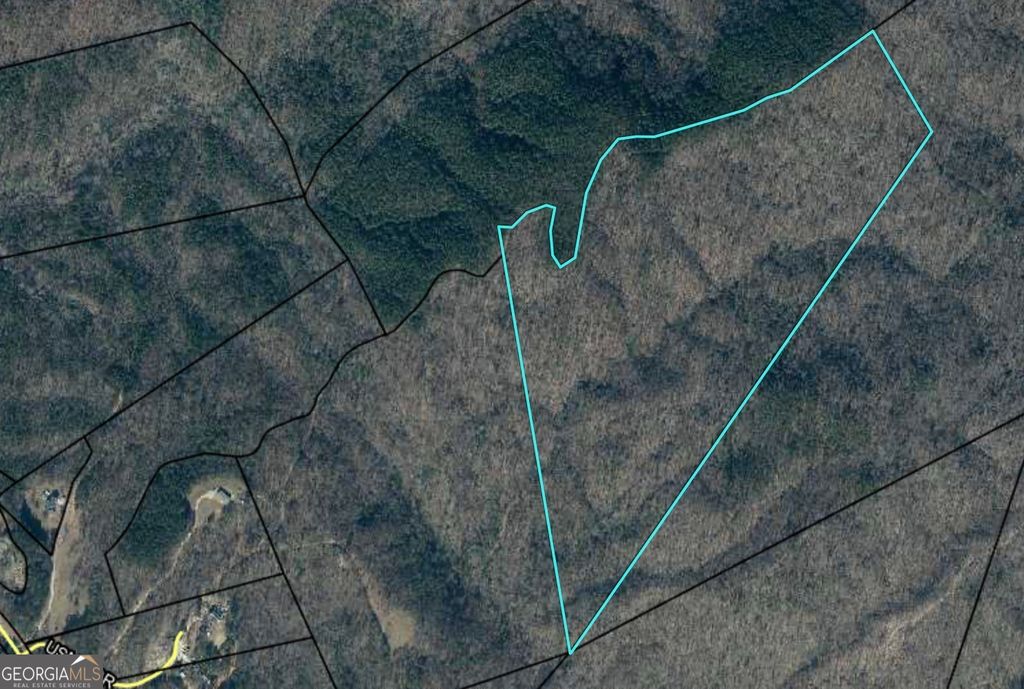 0 Highway 105, Baldwin, GA 30511 — photo 3