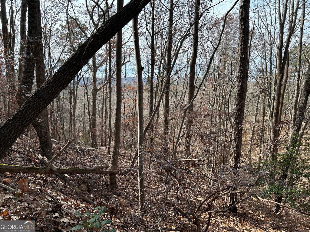 0 Highway 105, Baldwin, GA 30511 — photo 4