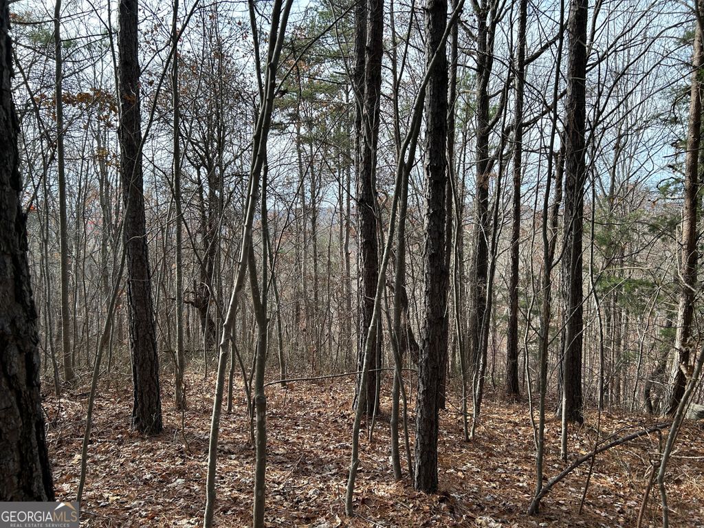 0 Highway 105, Baldwin, GA 30511 — photo 5