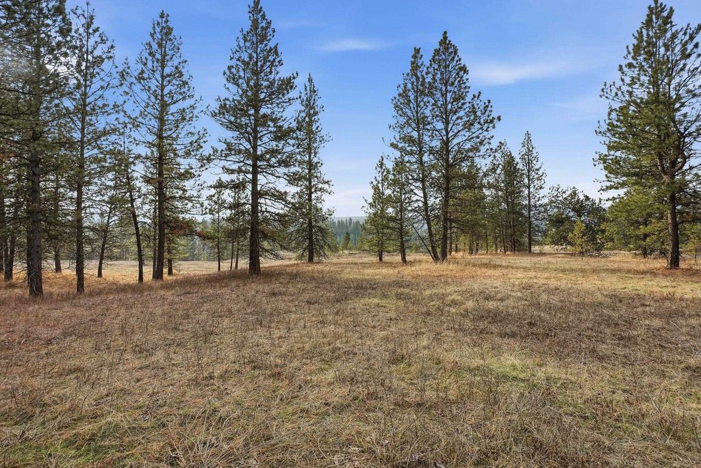 3086 E Balsam Hill Ln, Valleyford, WA 99223 photo 15