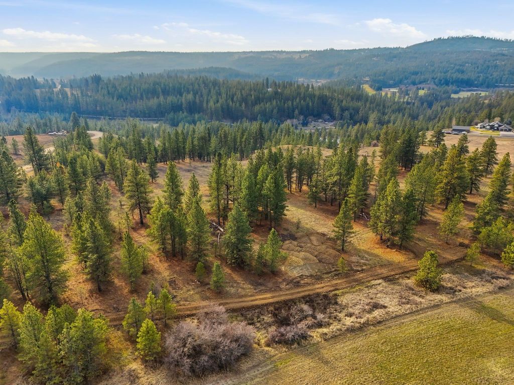 3086 E Balsam Hill Ln, Valleyford, WA 99223 photo 20