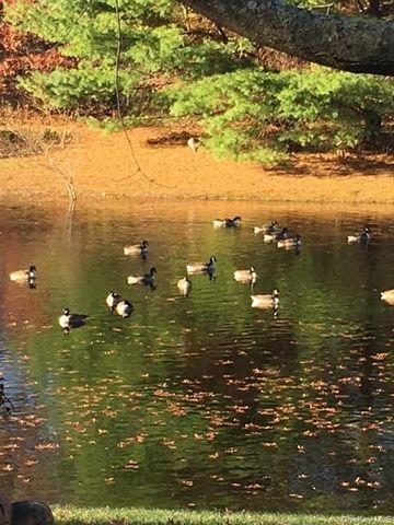 3 Pidgeon Court, Manorville, NY 11949