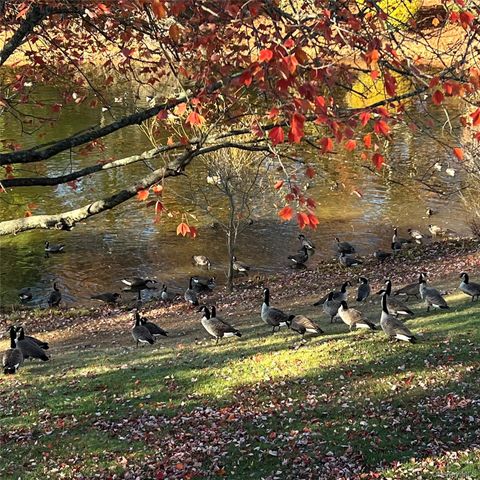 3 Pidgeon Court, Manorville, NY 11949