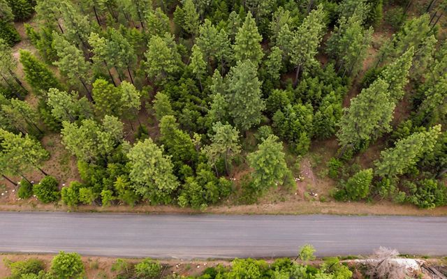 21517 W South Bank Rd, Nine Mile Falls, WA 99026