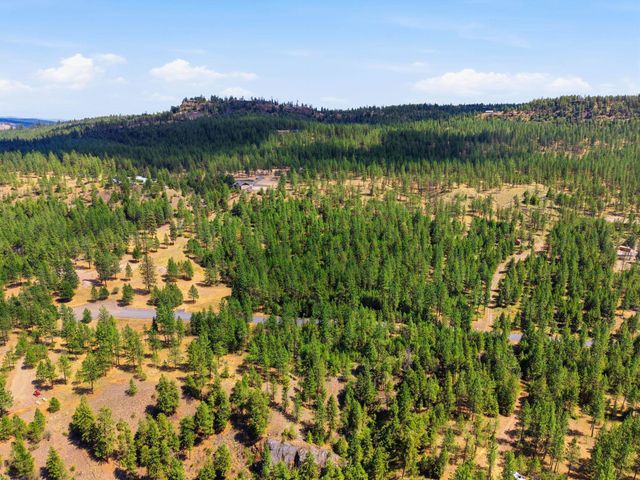 21517 W South Bank Rd, Nine Mile Falls, WA 99026