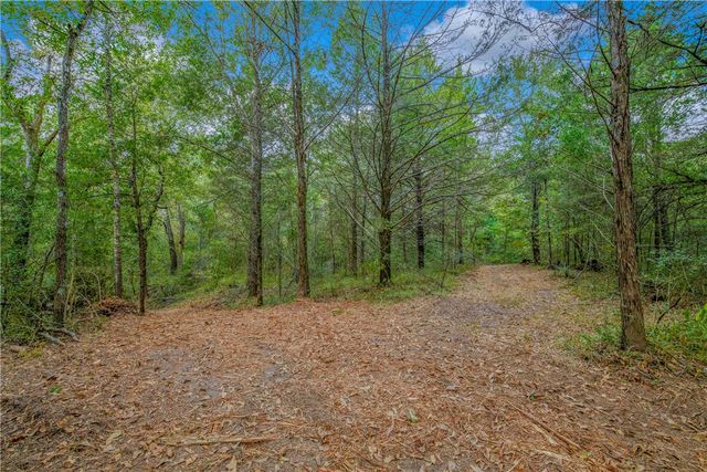 5891 Koppe Bridge Road, College Station, TX 77845