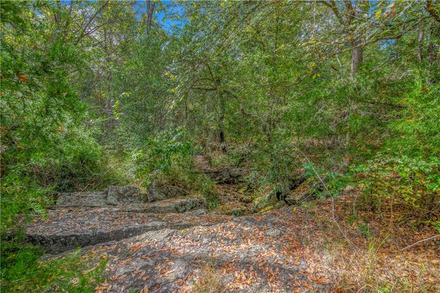 5891 Koppe Bridge Road, College Station, TX 77845