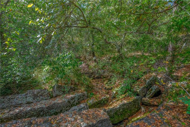 5891 Koppe Bridge Road, College Station, TX 77845