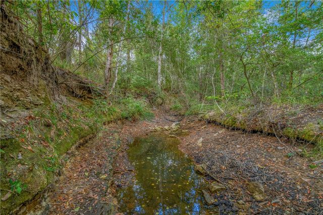 5891 Koppe Bridge Road, College Station, TX 77845