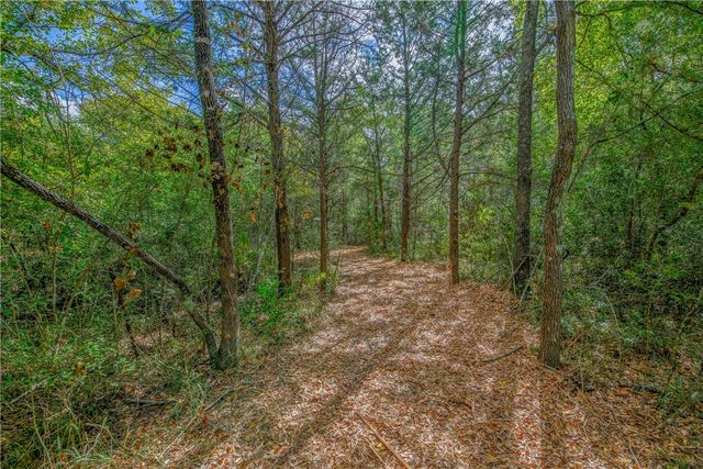 5891 Koppe Bridge Road, College Station, TX 77845