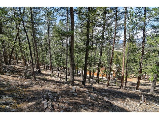 434 S Random Rd, Bailey, CO 80421