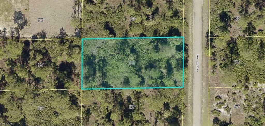 1313 Palmetto AVE, LEHIGH ACRES, FL 33972 — exterior