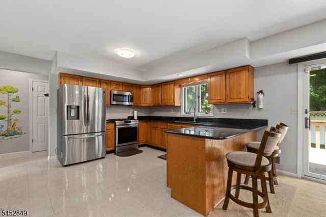 51 Diana Dr, South Plainfield Boro, NJ 07080