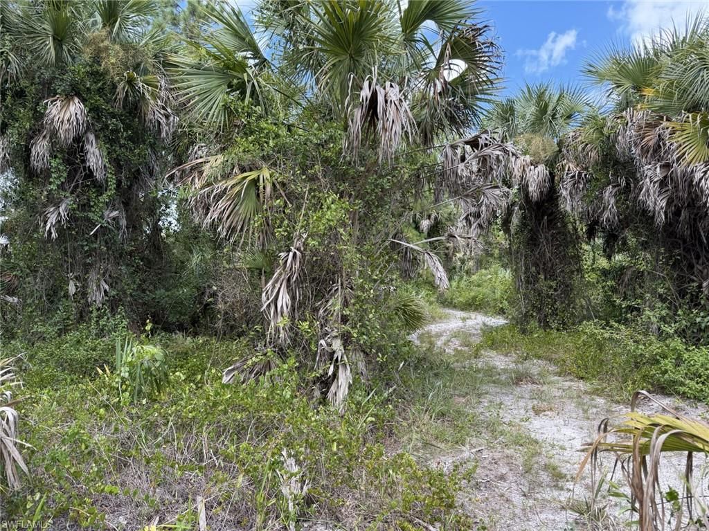 01 Woodland Grade Private RD, NAPLES, FL 34117 — photo 5