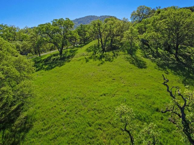 17556 Chesbro Lake Drive, Morgan Hill, CA 95037