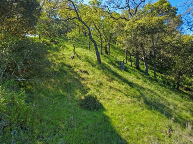 17556 Chesbro Lake Drive, Morgan Hill, CA 95037