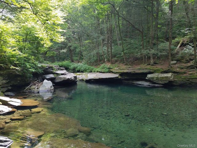 736 Sundown Road, Sundown, NY 12740