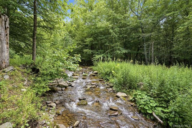 736 Sundown Road, Sundown, NY 12740