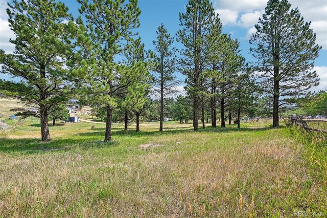 461 Yellow Pine Drive, Bailey, CO 80421