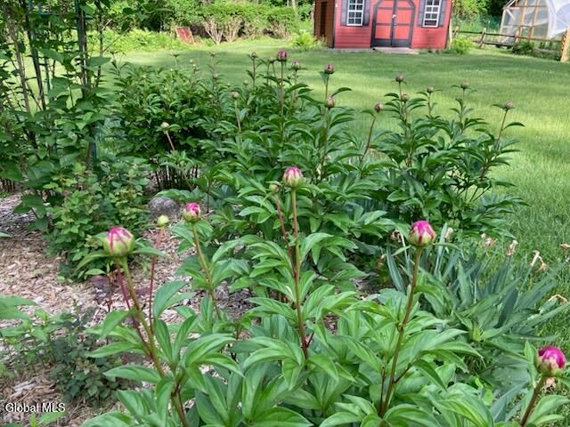 15 Dyer Switch Road, Saratoga Springs, NY 12866