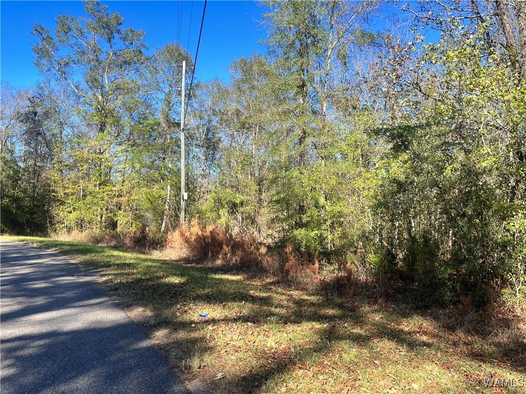 0 Jennings Ferry, Akron, AL 35441