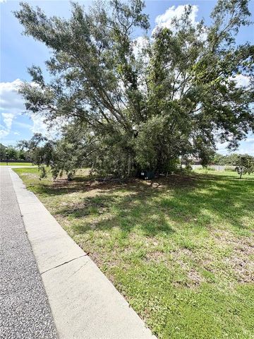 9925 REINDEER COURT, Spring Hill, FL 34608