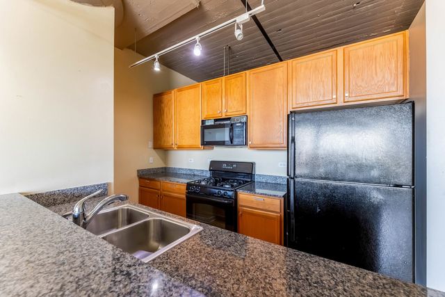 1550 S Blue Island Avenue 613, Chicago, IL 60608