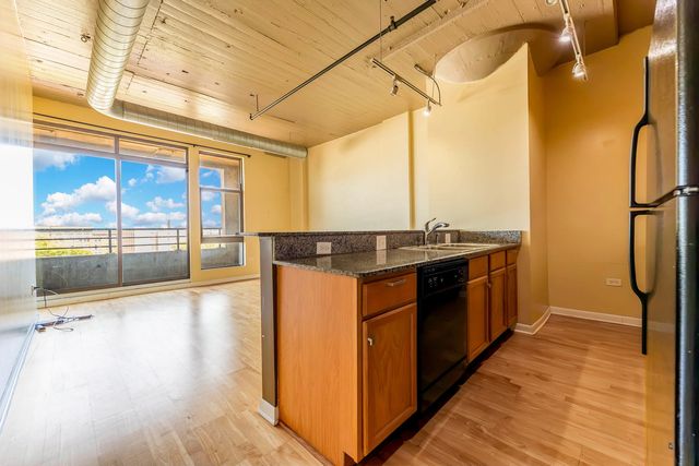 1550 S Blue Island Avenue 613, Chicago, IL 60608