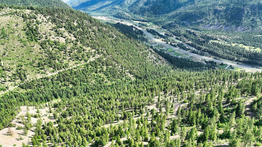 Nhn Switchback Ranch, Alberton, MT 59820 photo 11