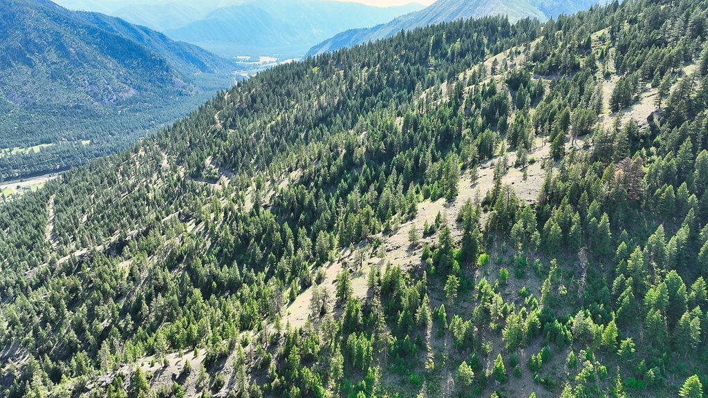 Nhn Switchback Ranch, Alberton, MT 59820 photo 19