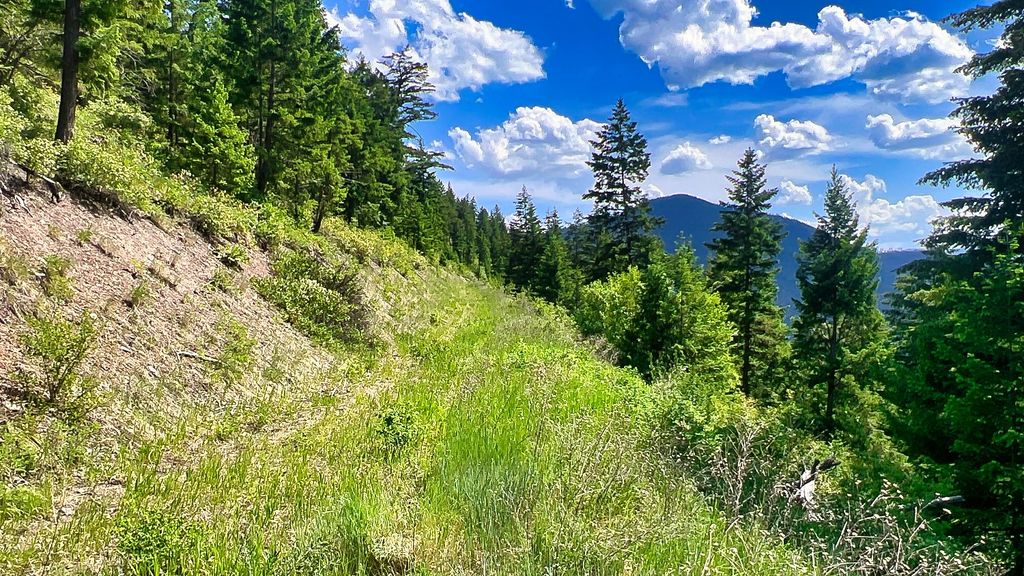 Nhn Switchback Ranch, Alberton, MT 59820 photo 25