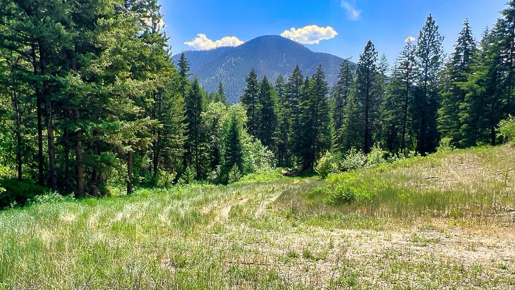Nhn Switchback Ranch, Alberton, MT 59820 photo 27