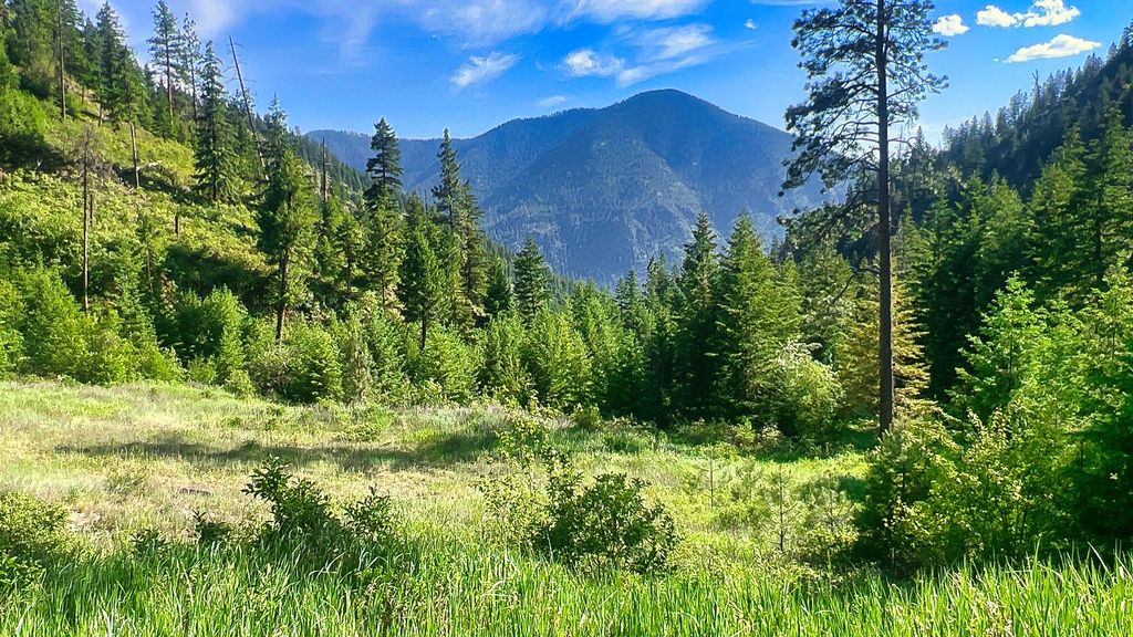 Nhn Switchback Ranch, Alberton, MT 59820 photo 28