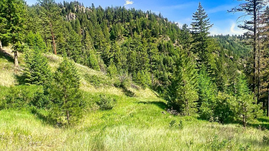 Nhn Switchback Ranch, Alberton, MT 59820 photo 29