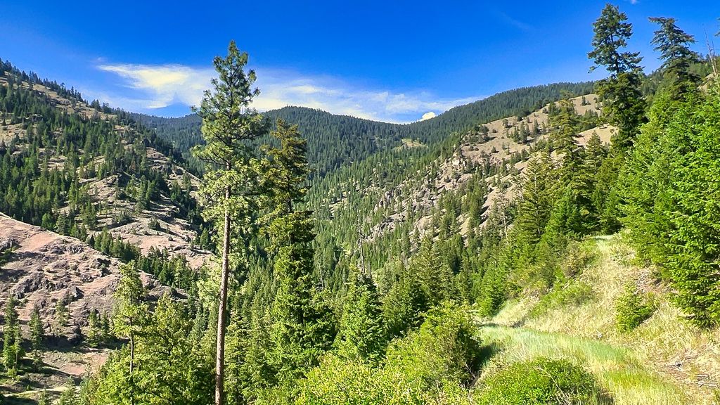 Nhn Switchback Ranch, Alberton, MT 59820 photo 30