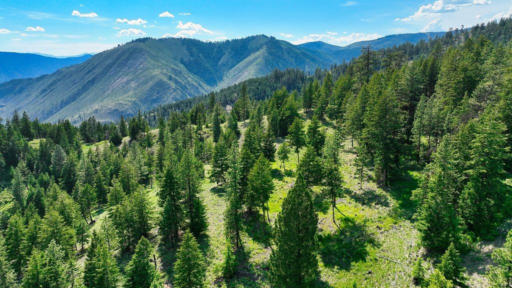 Nhn Switchback Ranch, Alberton, MT 59820 photo 31