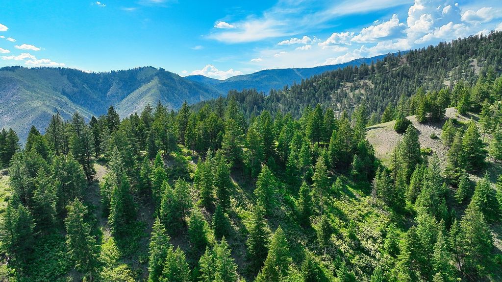 Nhn Switchback Ranch, Alberton, MT 59820 photo 32