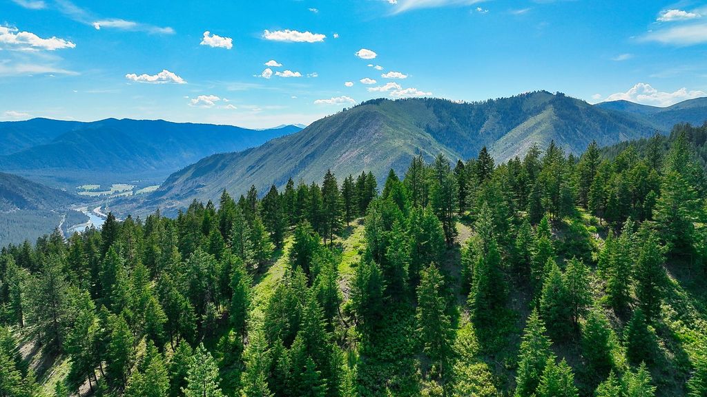 Nhn Switchback Ranch, Alberton, MT 59820 photo 33