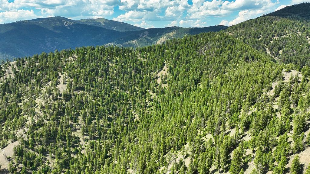 Nhn Switchback Ranch, Alberton, MT 59820 photo 36