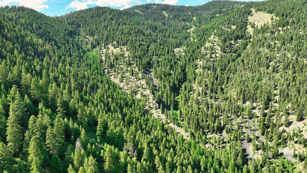 Nhn Switchback Ranch, Alberton, MT 59820 photo 38