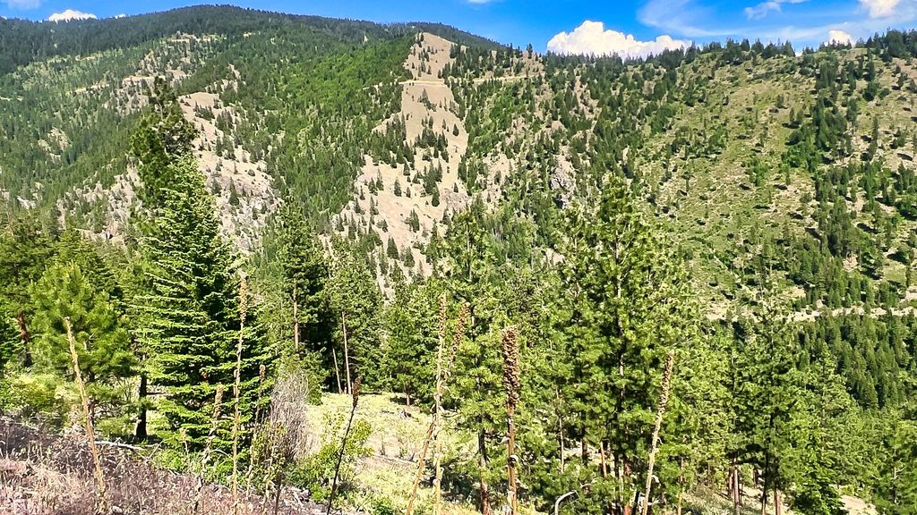 Nhn Switchback Ranch, Alberton, MT 59820 photo 39